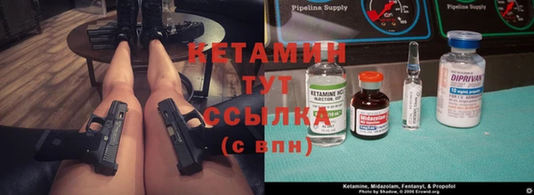 сатива Алзамай