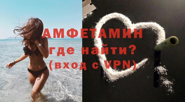 сатива Алзамай