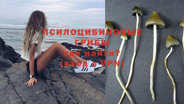 сатива Алексин