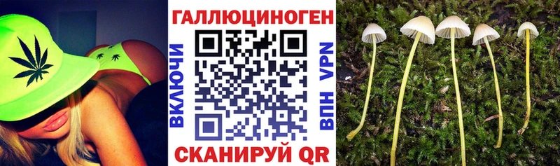Псилоцибиновые грибы Psilocybine cubensis  как найти   Нытва 